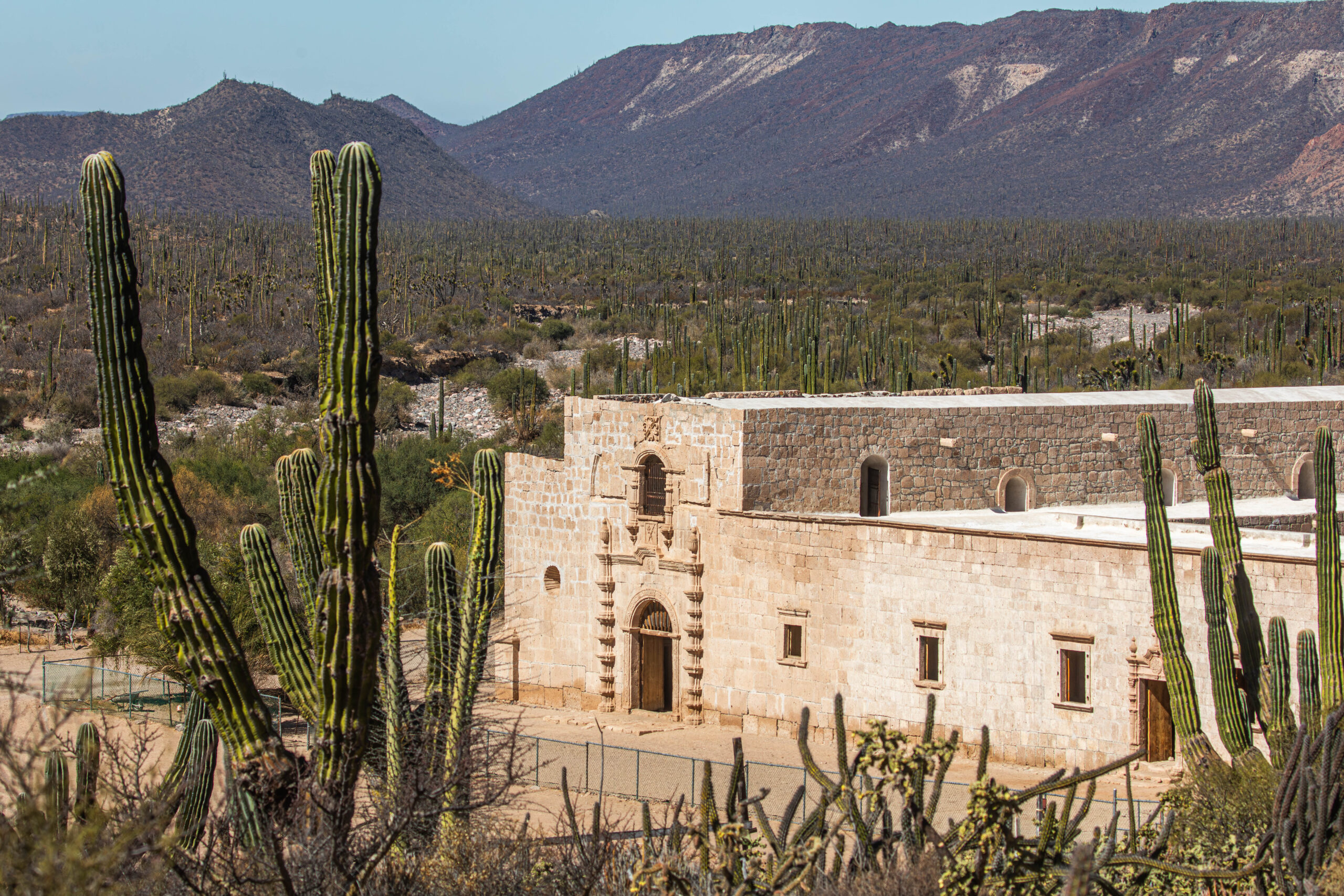 San Borja, the colonial treasure of the Boojum Tree Valley.